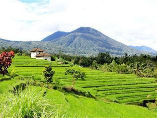 Batukaru Hotell Bali Eksteriør bilde